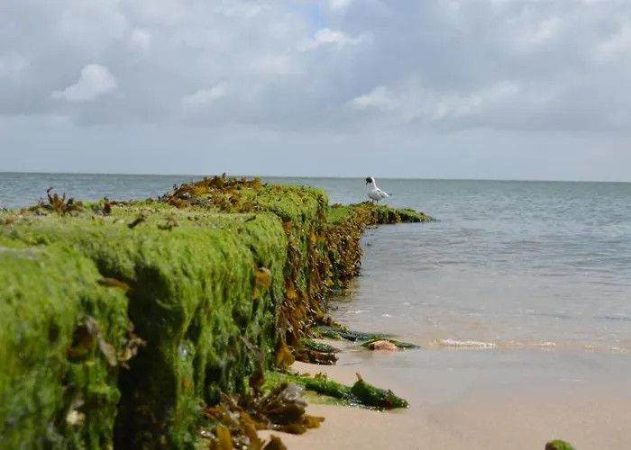 Apartamento Chesa Odde Hörnum